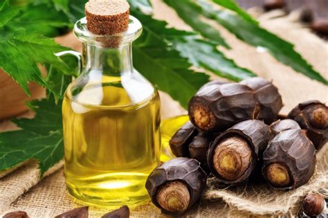 Castor Oil For Beard Growth The Ultimate Guide Castor Oil Center