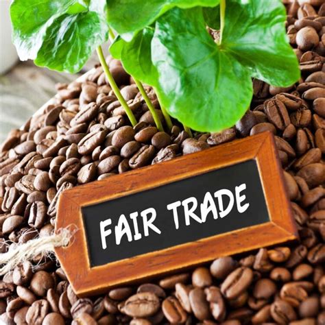 Africa’s Unfair, Fair Trade: Who Is Protecting the Public?