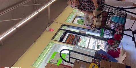 Mature BBC Bulge Flash Tnaflix