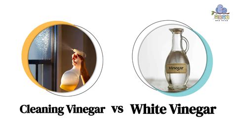 Cleaning Vinegar Vs White Vinegar Two Differences When To Clean