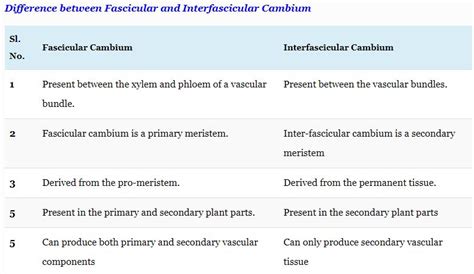 sir will fasicular cambium is converted as interfasicular cambium ...