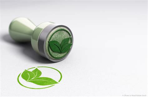 Parliament backs new rules for sustainable, durable products and no ...