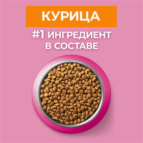 Сухой корм Purina ONE для котят с курицей и злаками - PurinaOne.ru