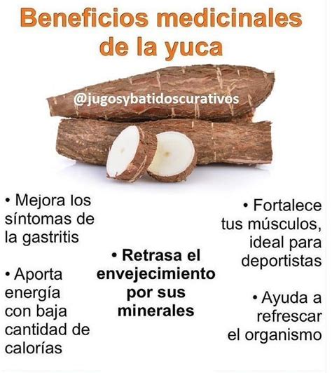 Descubre Los Beneficios Y Propiedades Saludables De La Yuca ¿qué Tan