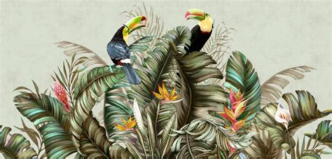 Papier Peint Perroquet Et Toucan D Oiseaux Exotiques Parmi Les Feuilles