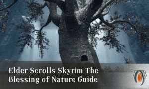 Elder Scrolls Skyrim The Blessing Of Nature Guide Scrolls Guided