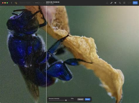 Photomator 3.1 review: A machine-learning augmented photo editor for
