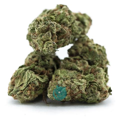 Heavy Duty Fruity AA Hybrid West Coast Releaf Online Dispensary In