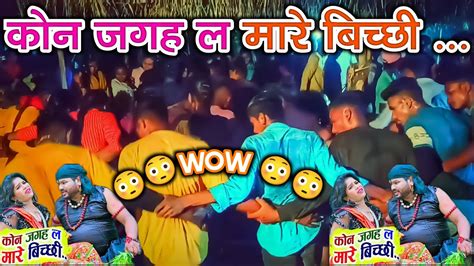 कोन जगह ल मारे बिच्छी 🔊 New Song सलीम मिनी धुमाल Naavdabri 🙂 Youtube