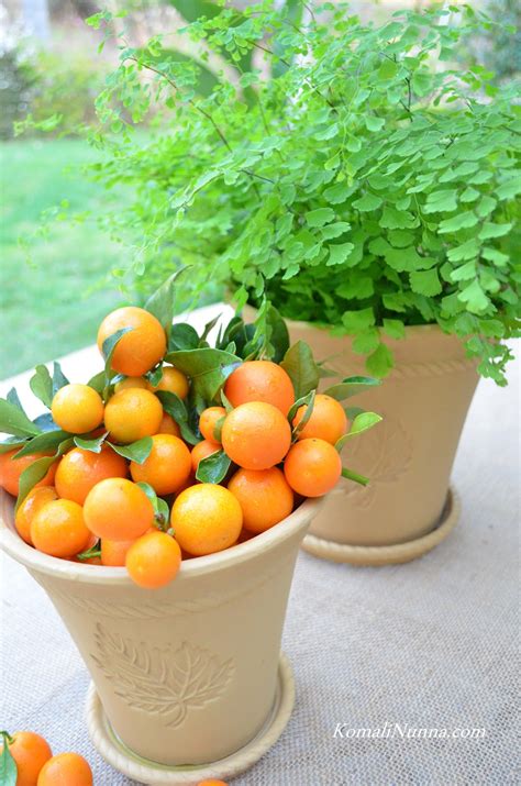 Entertaining From An Ethnic Indian Kitchen Centerpiece From The Orchard