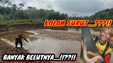 MANCING BELUT DIKOLAM SURUT LIHAT SAJA HASILNYA YouTube