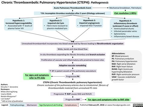 Chronic Thromboembolic Pulmonary Hypertension Cteph Pathogenesis