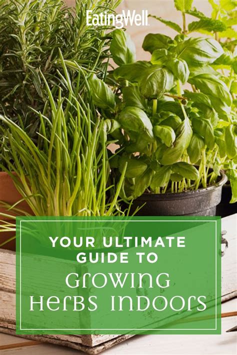 Your Ultimate Guide To Growing Herbs Indoors Artofit