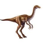 Gallimimus | Extinct Animals