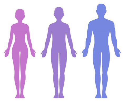 102700 Human Body Outline Stock Illustrations Royalty Free Vector Graphics And Clip Art Istock