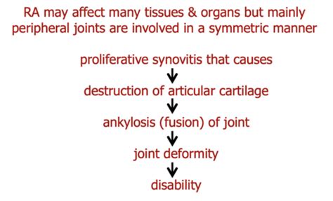 Msk Path Joints Flashcards Quizlet