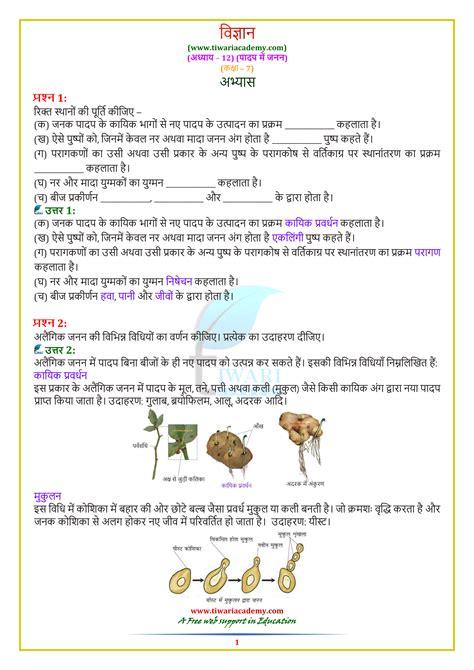 Ncert Solutions For Class 7 Science Chapter 12 Reproduction In Plants