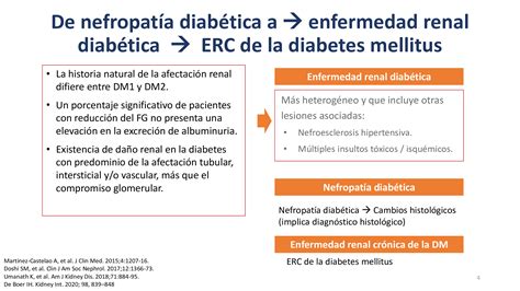 Afectación renal en la diabetes mellitus - Nefrología al día