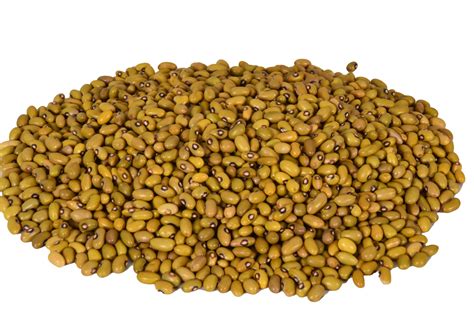 Yellow Beans (Dry) 1kg - Thinwhales International