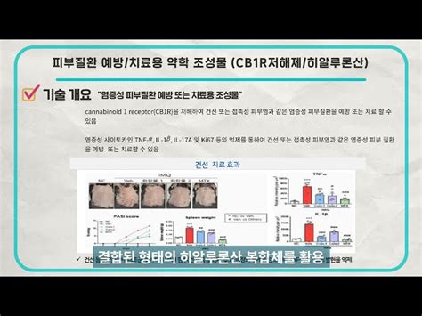 피부질환 예방 치료용 약학 조성물 Link On Biz Technology Transaction