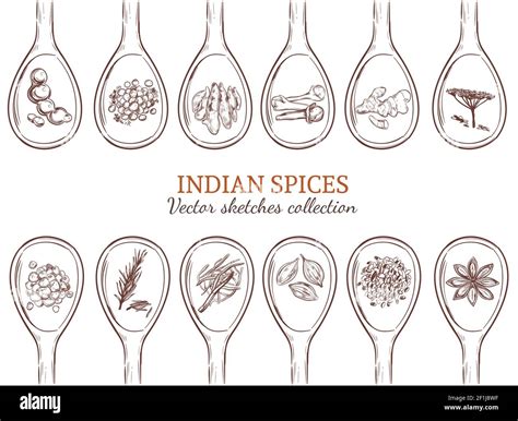 Sketch Organic Indian Spices Set With Natural Seasonings And Condiments