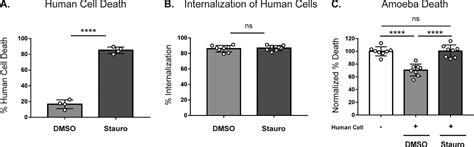 Trogocytosis By Entamoeba Histolytica Mediates Acquisition And Display Of Human Cell Membrane