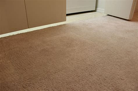 Bleach Spot Carpet Dyeing Seattle Carpet Repair And Stretching