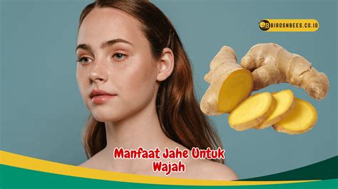 Wajah Makin Cerah Ketahui Manfaat Jahe Untuk Kesehatan Wajahmu Birds