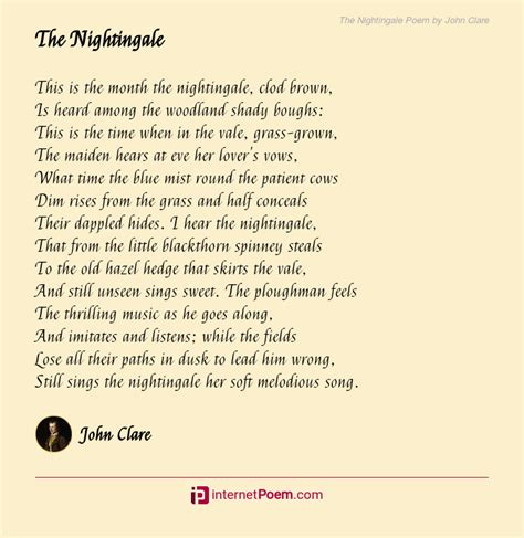 The Nightingale Poem By John Clare