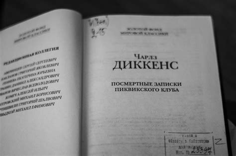 Тайша Абеляр Книги - grajdanpravo