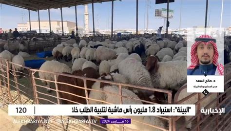 طقس العرب السعوديةما هو معنى كلمة تكأكأتم