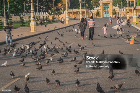 Birds At The Royal Palace In Phnom Penh Stock Photo Download Image