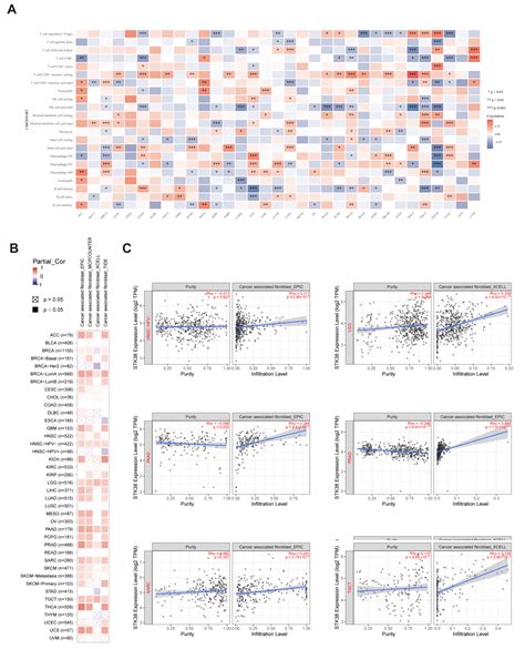 Ijms Free Full Text Prognostic And Immunological Role Of Stk38 Across Cancers Friend Or Foe