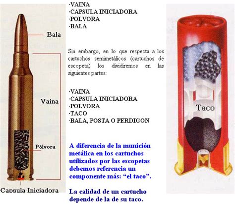 Morfologia De Los Cartuchos [beta] Hpchile Cl Criminalística Forense