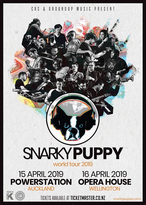 SNARKY PUPPY 2019 A2 POSTERS - Ambient Light