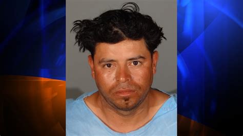 Suspect Arrested In Sex Assaults In Santa Monica West La Attack In