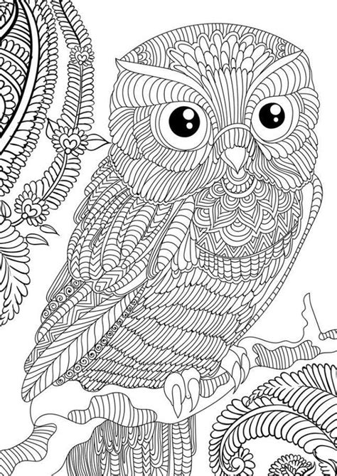 Owl Coloring Pages For Adults Free Detailed Owl Coloring Pages