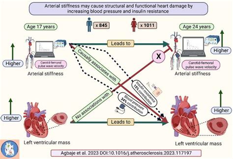 Arterial Stiffness May Case Pr IMAGE EurekAlert Science News Releases