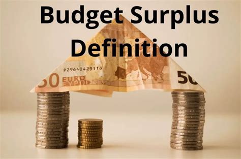 surplus définition ses