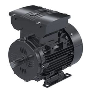 Moteur Monophas Md M Series Elk Motor Induction V Ip