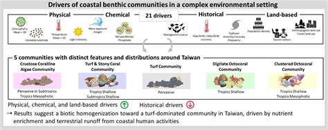 Drivers Of Coastal Benthic Communities In A Complex Environmental