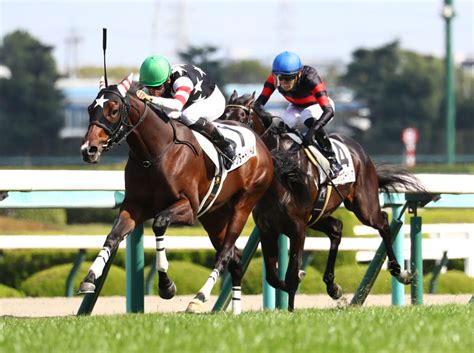 【新馬阪神5r】ドクタードリトルが最内強襲、見事な差し切り 競馬ニュースなら競馬のおはなし