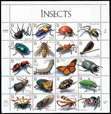 Insect identification clipart - Clipground