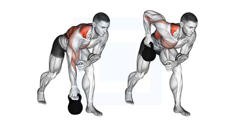 Cable Standing Row Guide Benefits And Form