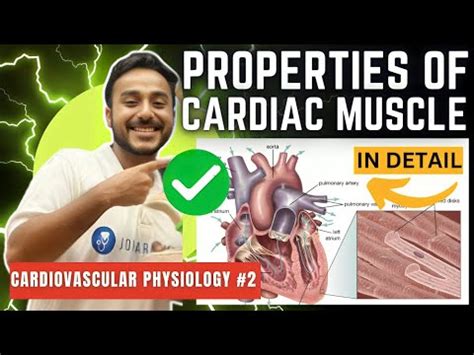 Properties Of Cardiac Muscle Physiology Frank Starling Law Cardiac