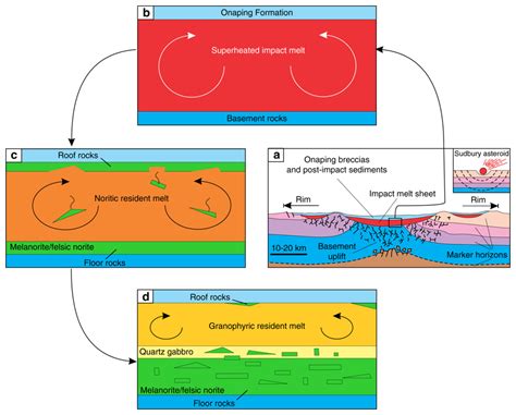 Les Grandes étapes Lévolution De La Terre Et De La Vie