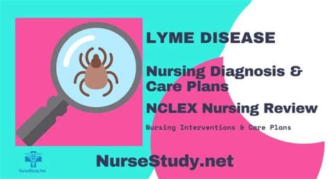 Lyme Disease Nursing Diagnosis Care Plan Nursestudy Net