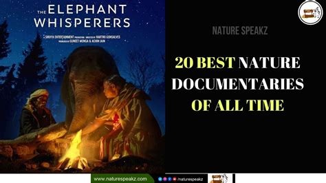 20 Best Nature Documentaries of All Time