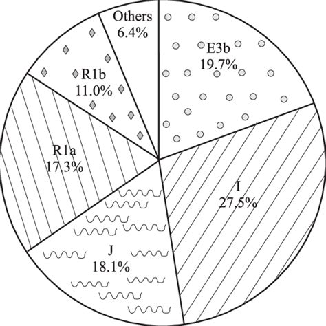 Distribution Of Y Chromosome Haplogroups In Bulgarians Haplogroup