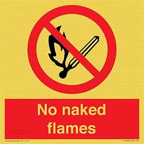 Viking Signs Znak No Naked Flames X Mm S Ceny I Opinie Ceneo Pl